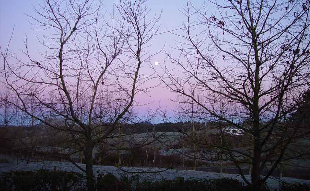 Moon set